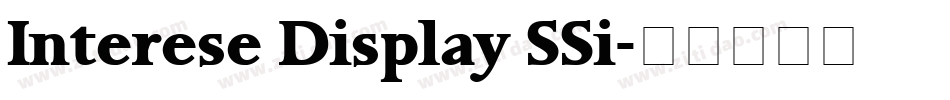Interese Display SSi字体转换